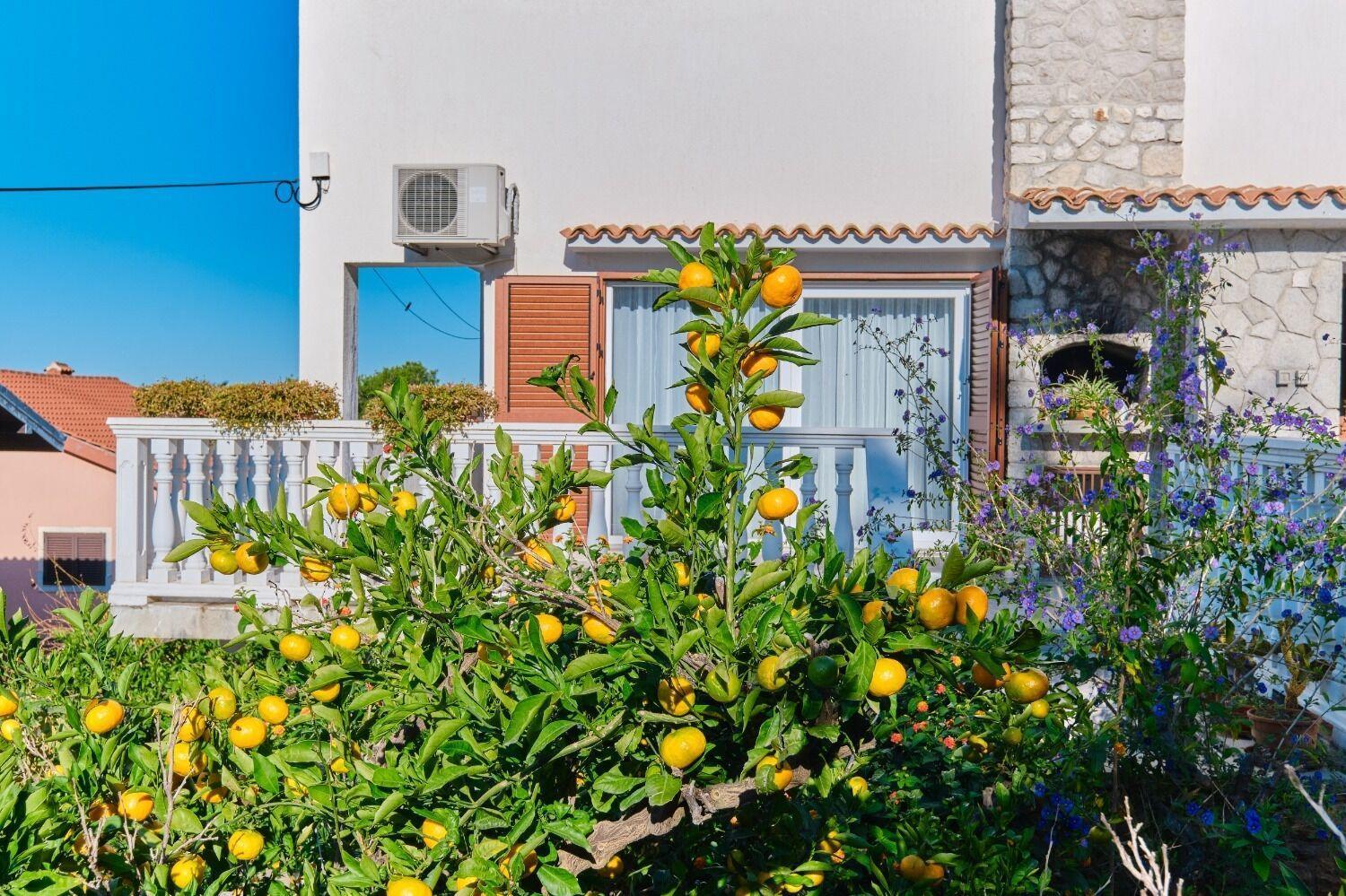 Apartment Luce Mali Lošinj Dış mekan fotoğraf